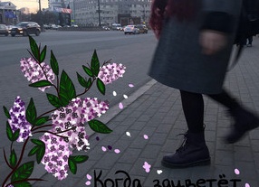 Когда зацветет сирень