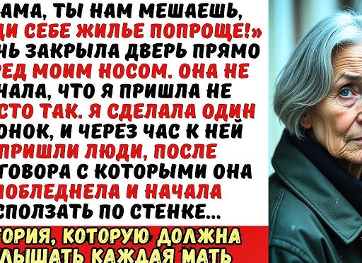 Дочь закрыла дверь перед матерью со словами: 